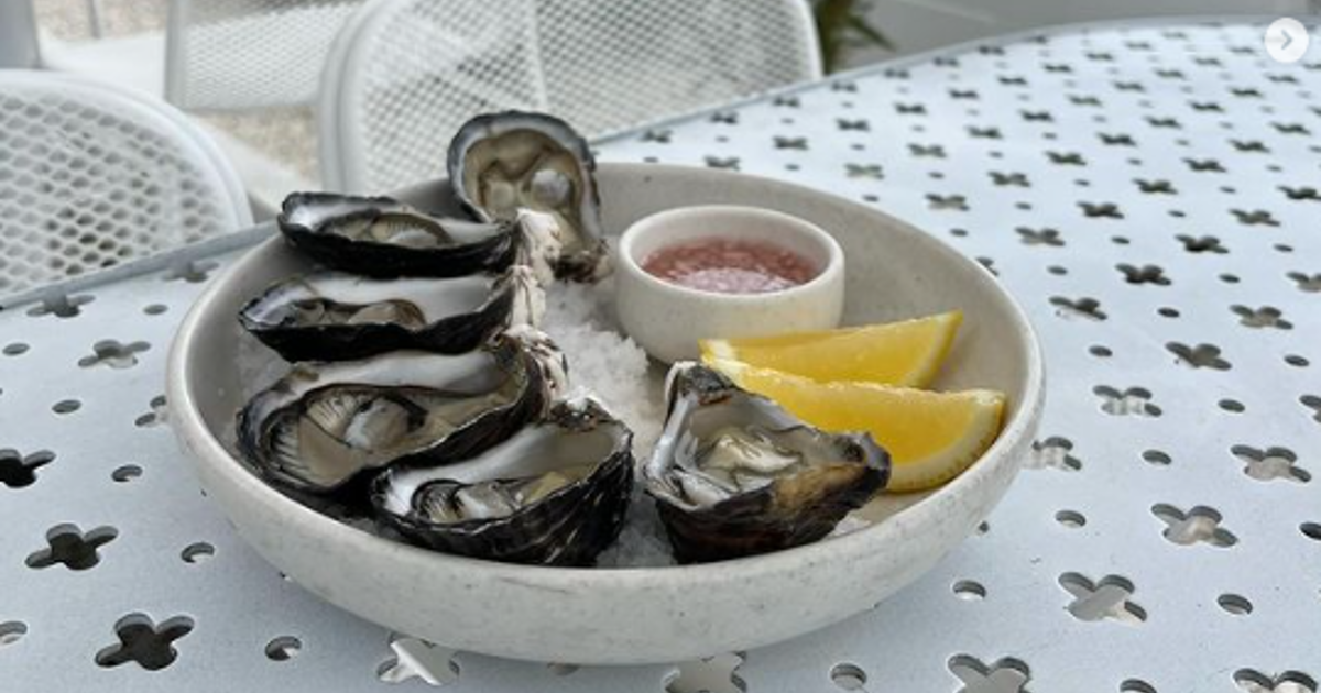 Oyster x Bubbles at Milford Motel | Best Restaurants of New Zealand